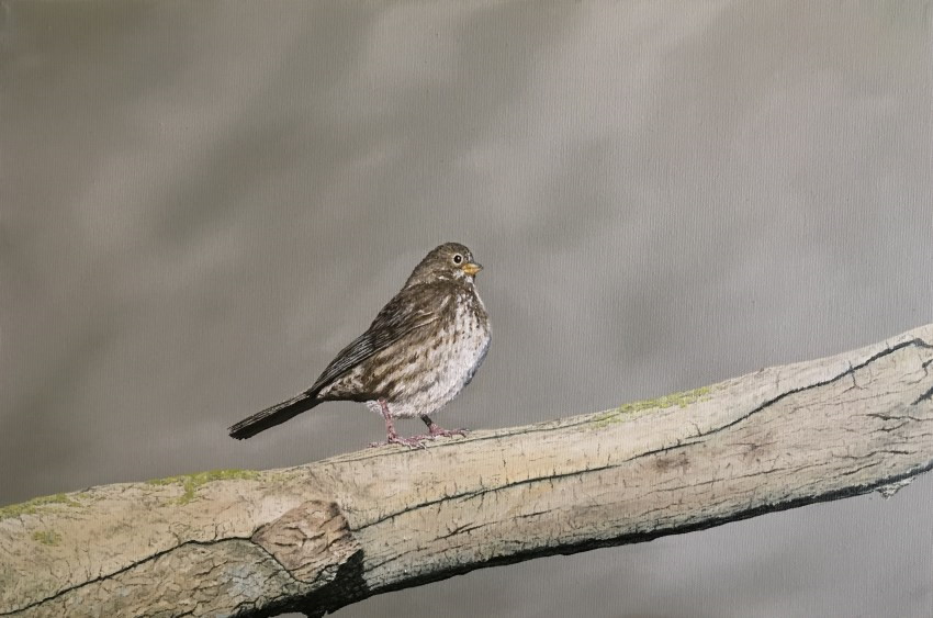 Realistic bird oil painting, animal kingdom