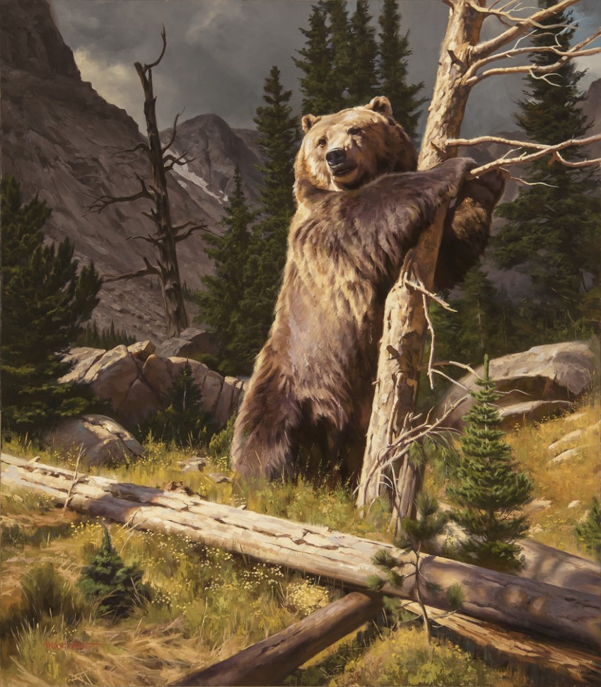 Bear realistic painting by Dustin Van Wechel