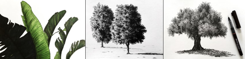 用笔和记号笔绘制树木的示例
