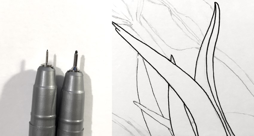 Using different nib sizes to draw flowers