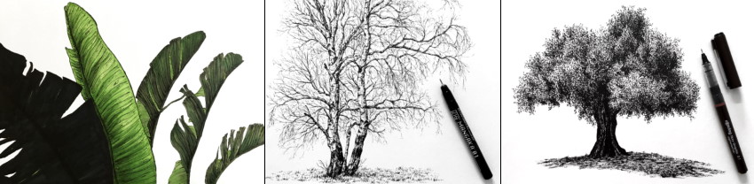 Examples from tree drawing guide