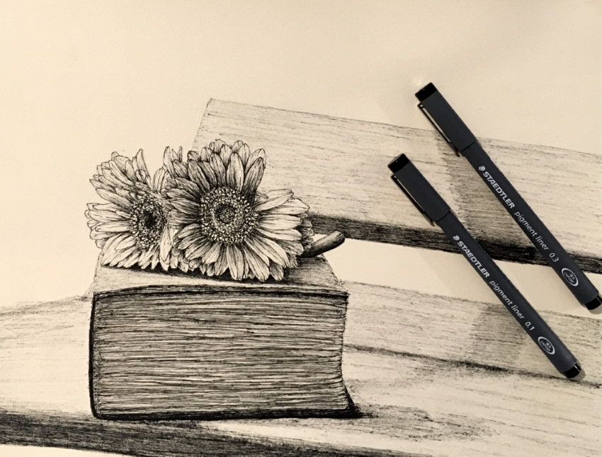 Цветы герберы и рисунок книжной ручкой