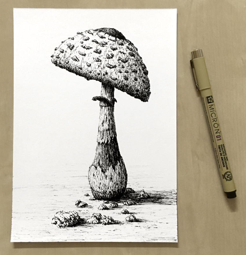 A pen drawing of a mushroom