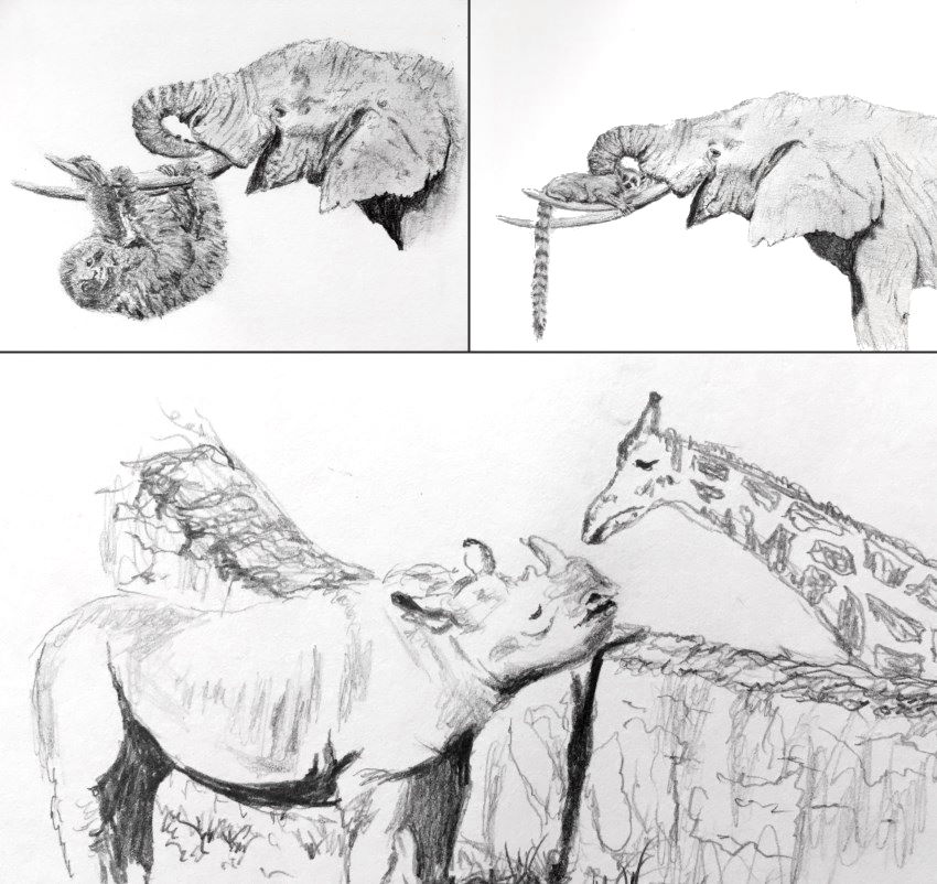 Animal sketches with mechanical pencil