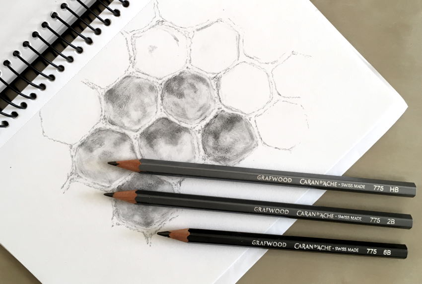 Drawing of a bee hive and wax