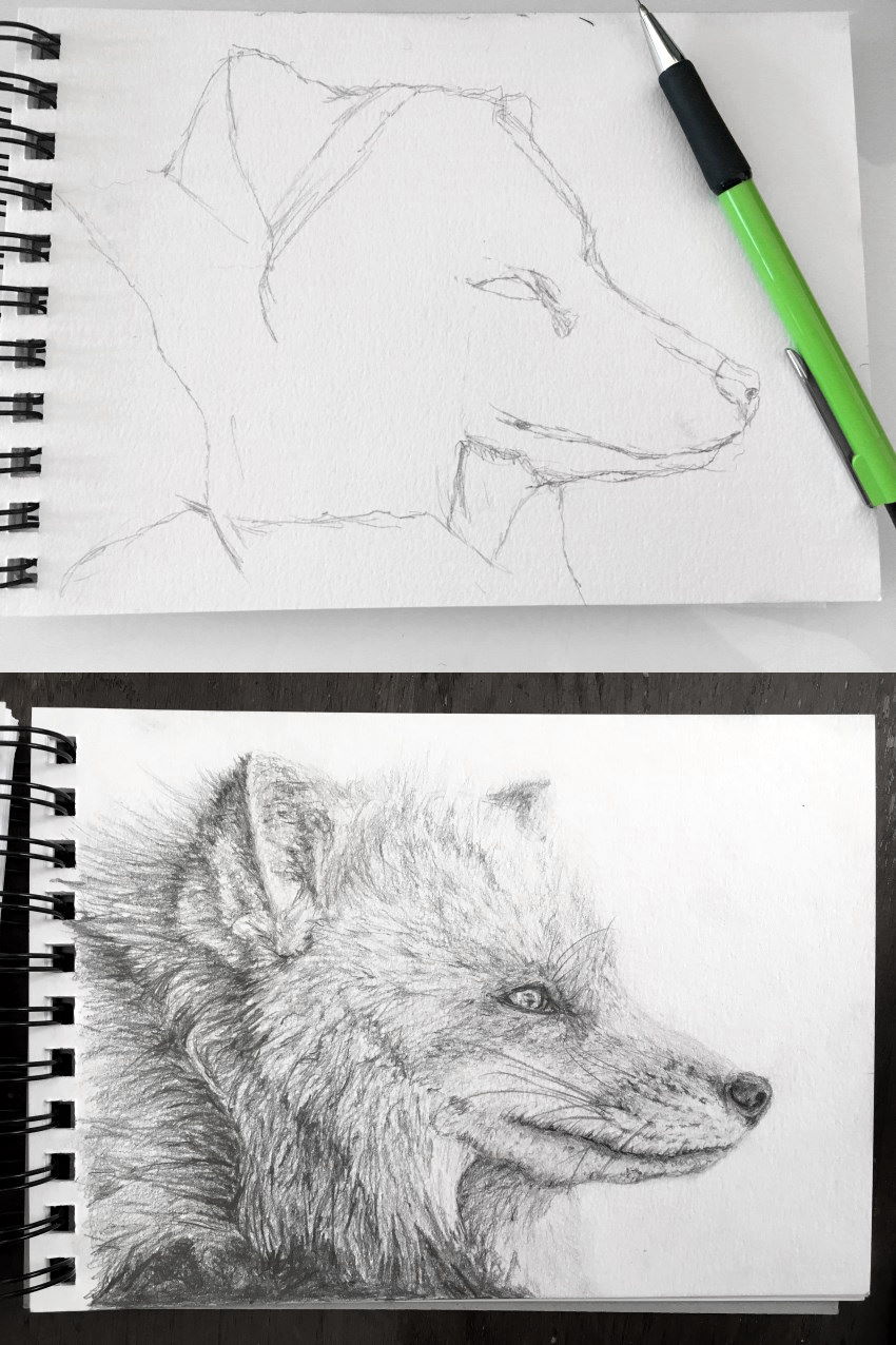 Fox sketch with a mechanical pencil