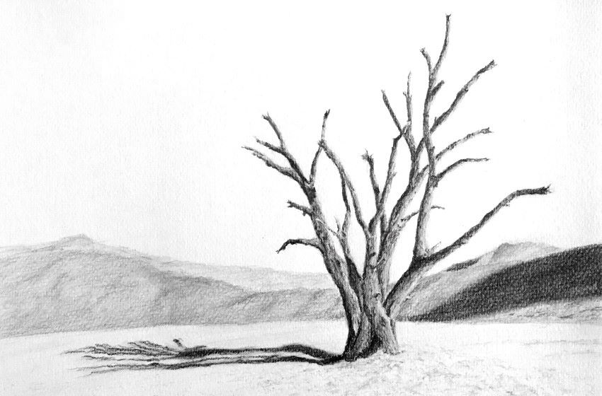 Composition drawing of a tree in desert