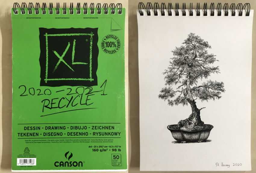 Canson XL Recycle paper pad, and a tree drawing