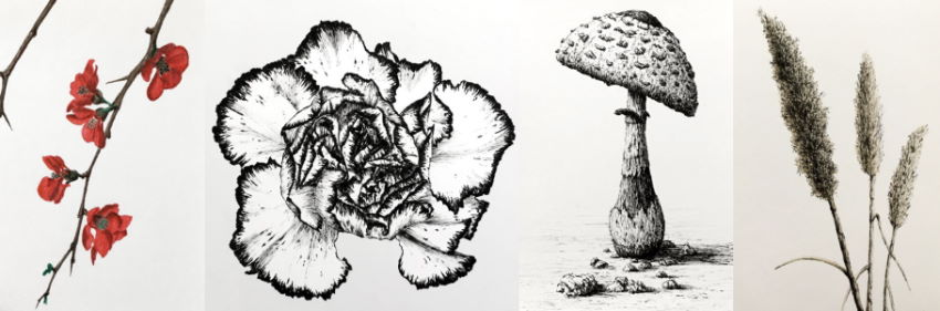 Examples for pen flower drawing