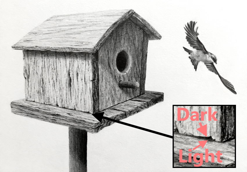 A birdhouse drawing with a tree swallow bird