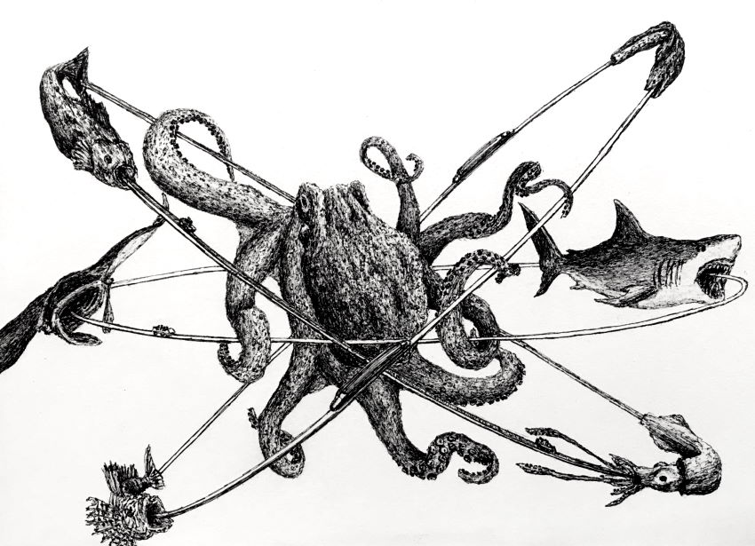 Pen drawing of an octopus and marine animals