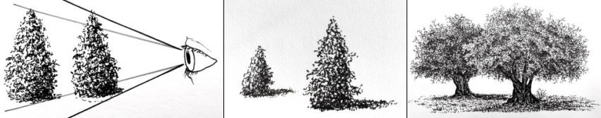 Tree pen drawings with a sense of depth