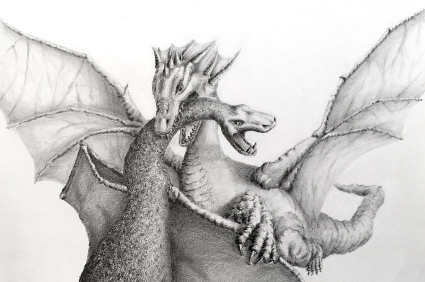 Drawing of two dragons fighting