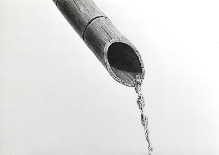 A graphite drawing of a bamboo and dripping water