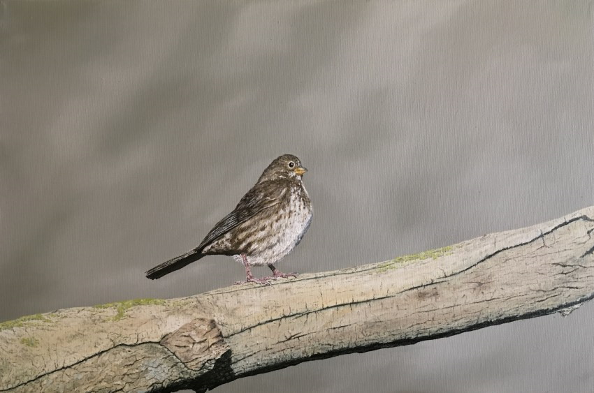 Realistic bird on a branch oil painting