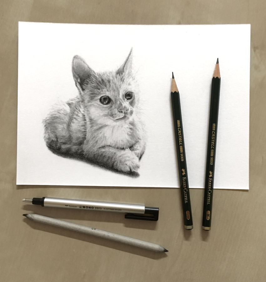 Realistic cat graphite pencil drawing