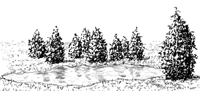 Foreshortening drawing of a lake