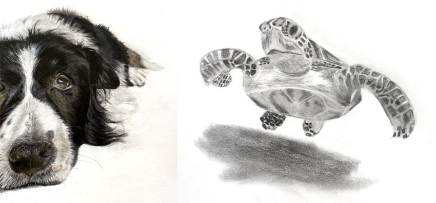 Realistic drawings by Dan