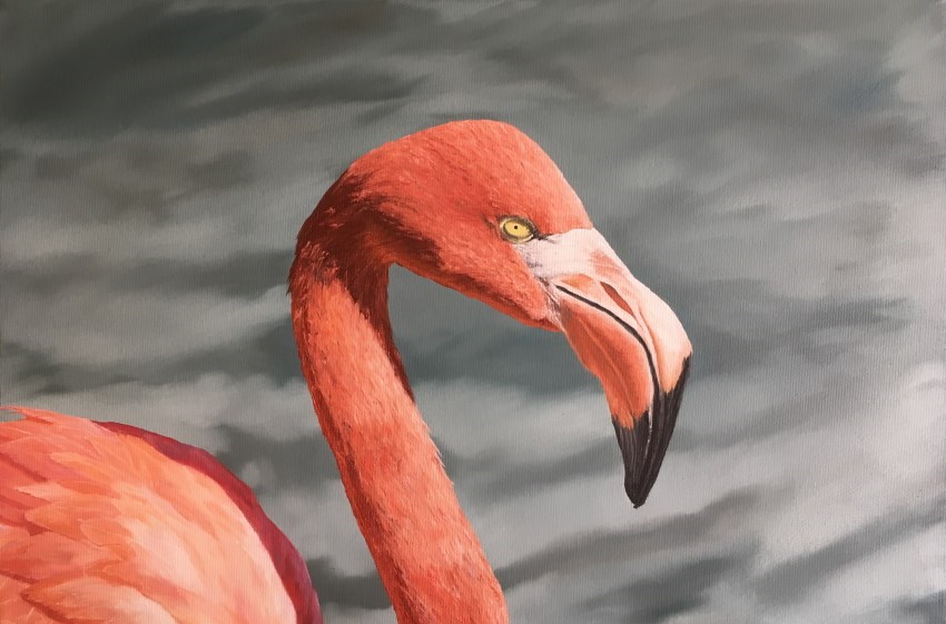 Realistic flamingo oil painting