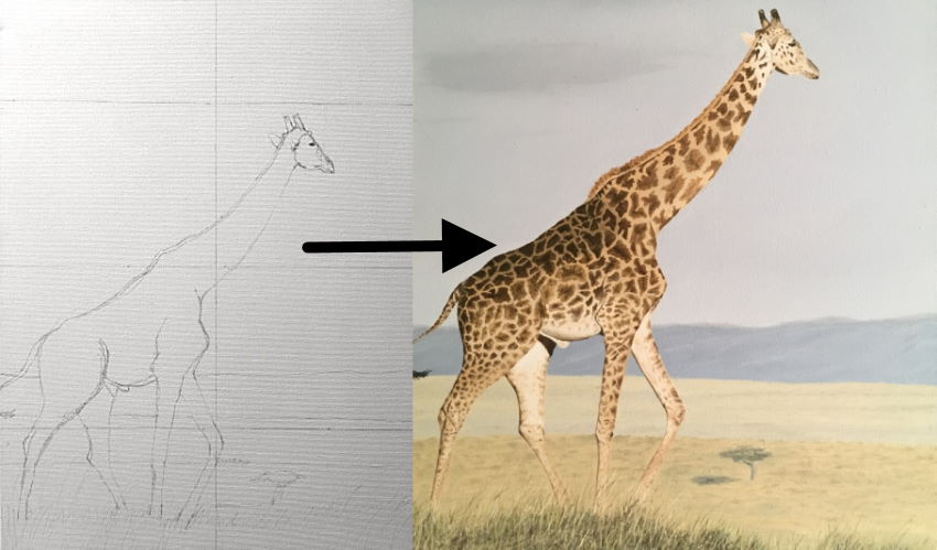 Drawing guidelines for painting a giraffe