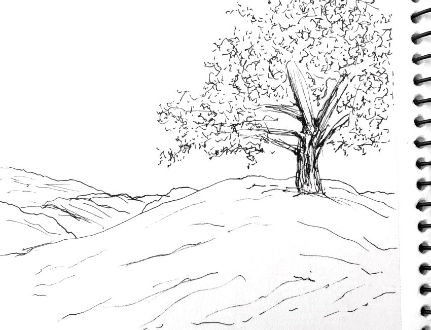 Initial sketch for tree drawing