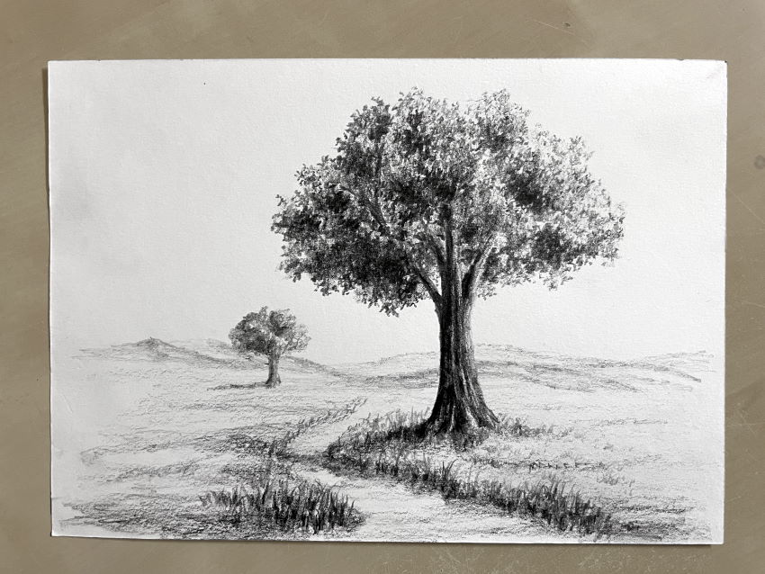 Pencil drawing of a landscape with trees
