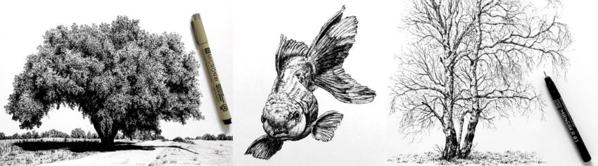 Realistic pen drawings