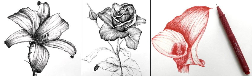 Examples for flower drawings with a pen