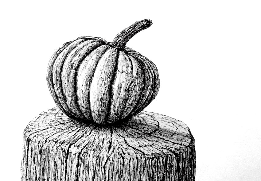 Pen drawing of a pumpkin on log