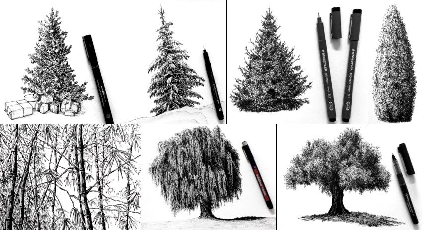 Pen drawings of trees