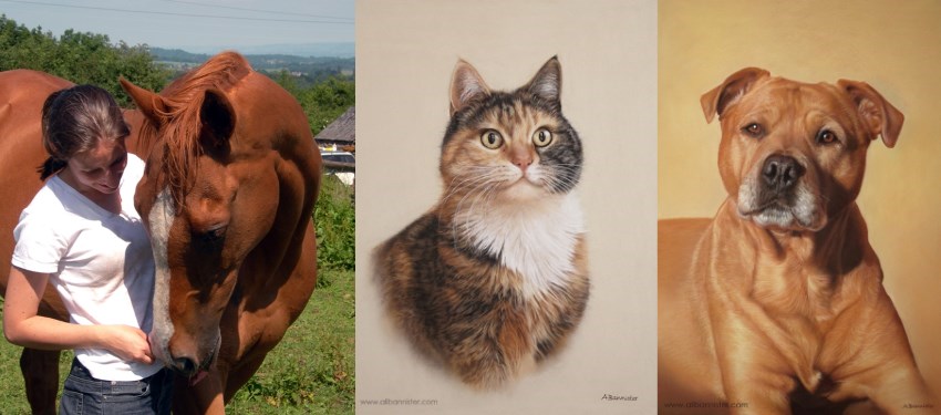 Pet portrait paintings by Ali Bannister