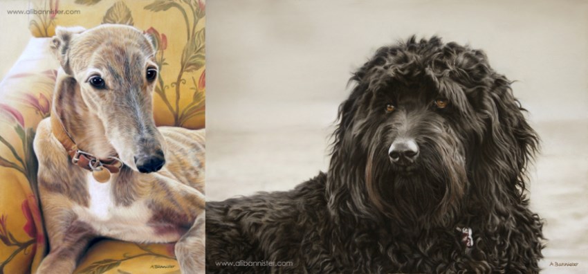 Pet dogs portrait paintings by Ali Bannister