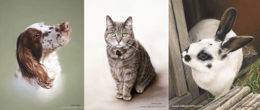 Dog, cat and rabbit portraits by Ali Bannister