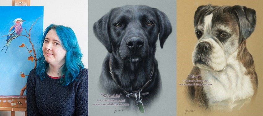 Pet dogs portrait paintings by Amanda Drage