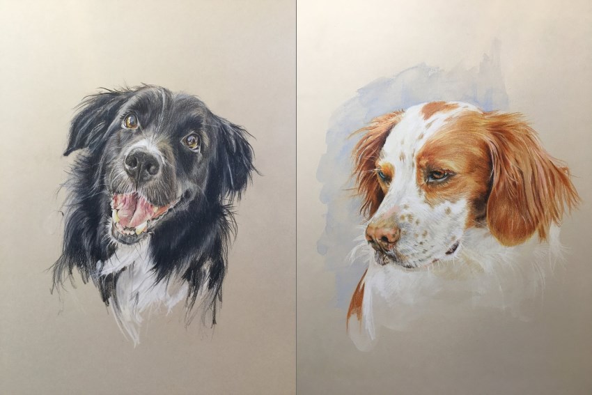 Dogs portrait painting by Caroline Van Wyke