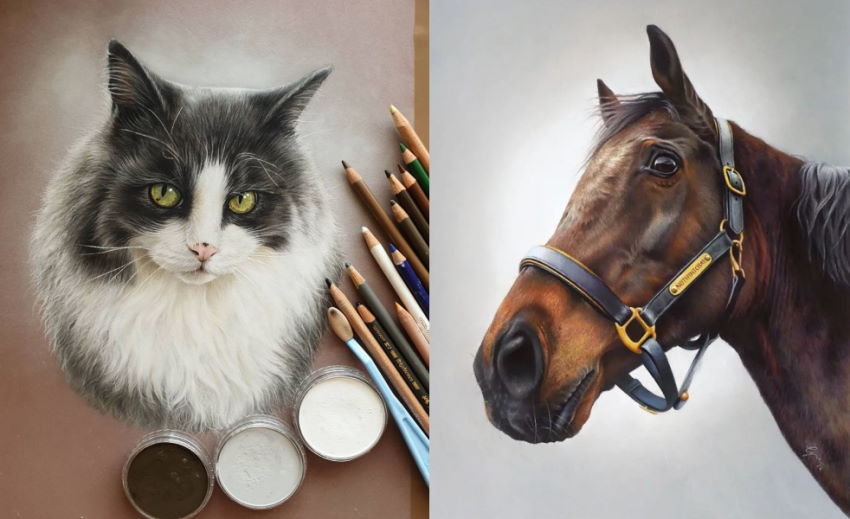 Realistic cat and horse colored drawings by Grace Murray