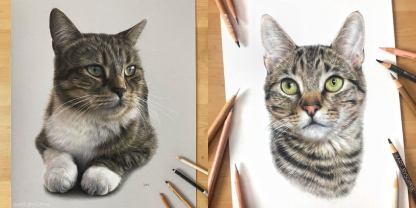 Beautiful cat portrait drawings by Sophie Ella Tutt