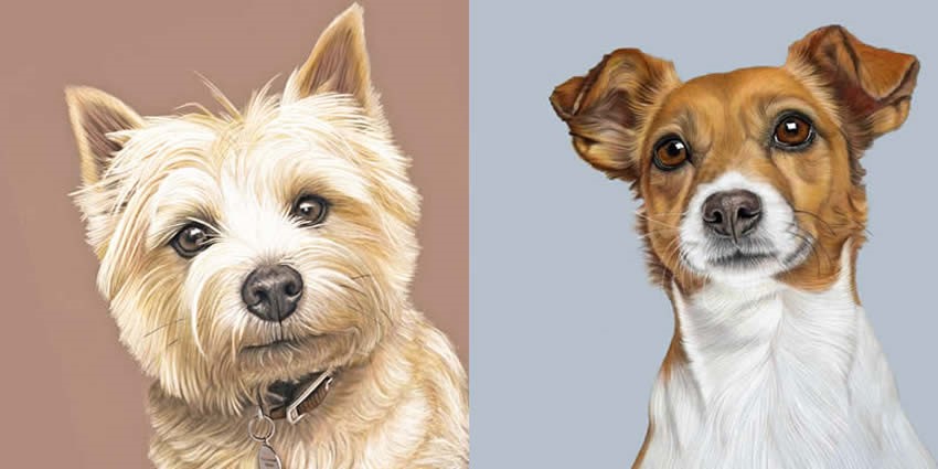Pet dog portraits by Donna