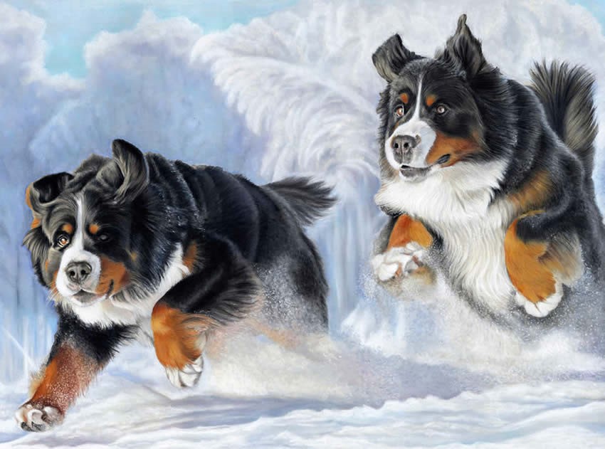 Dogs portrait paintings by Donna