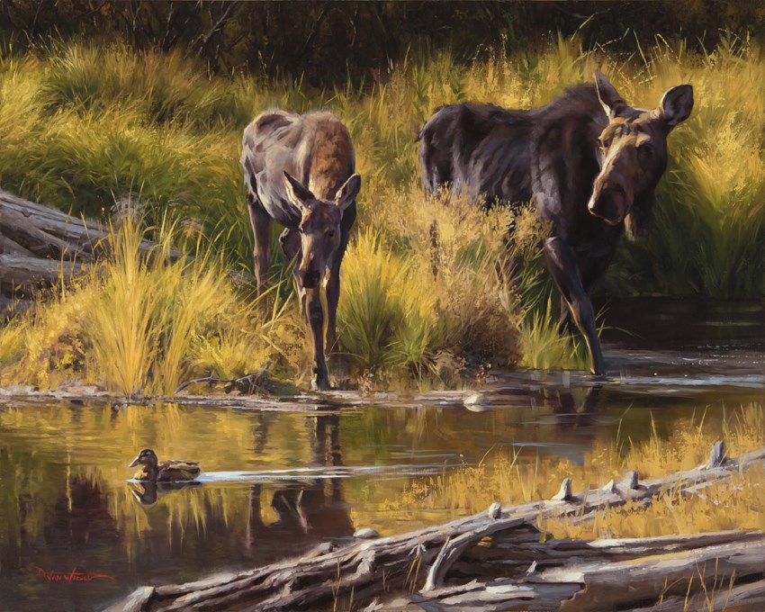 Moose painting by Dustin Van Wechel