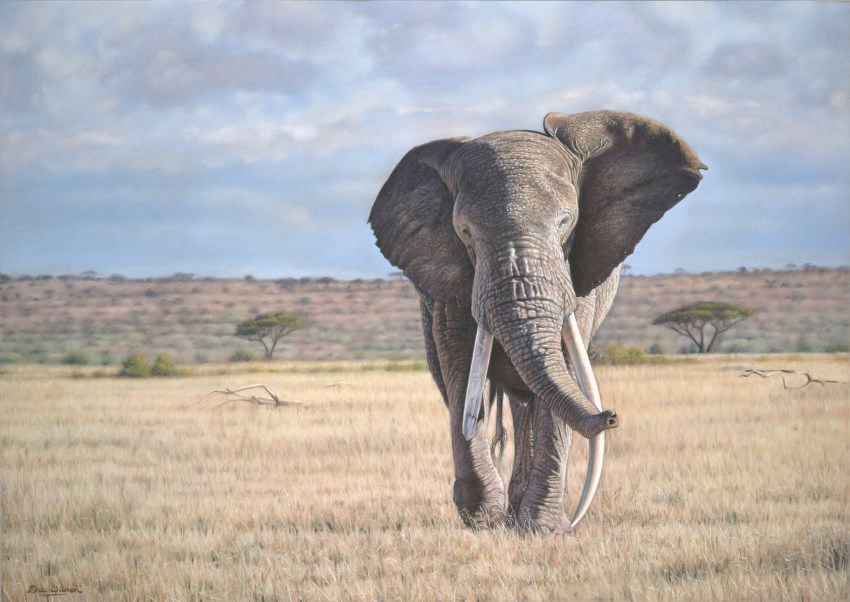 Elephant painting by Eric Wilson