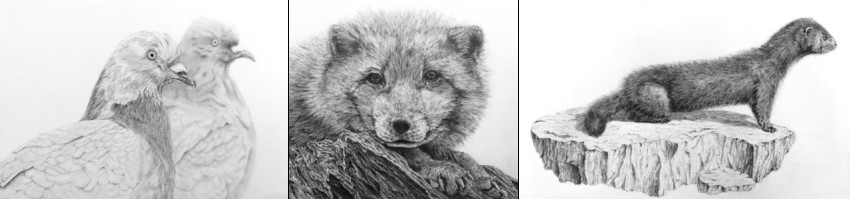 Realistic animals pencil drawings