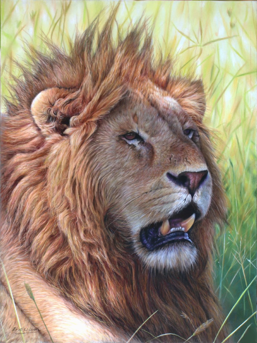 Lion painting by Eric Wilson
