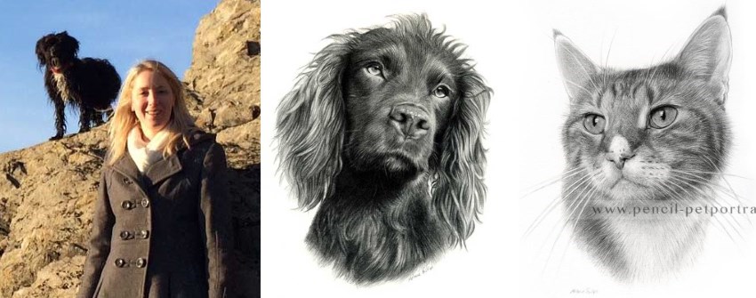 Cat and dogs portraits by Melanie Phillips