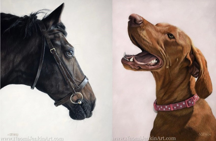 Dog & horse portraits by Naomi Jenkin