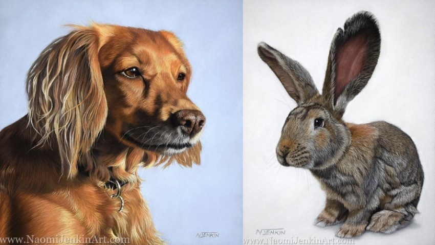 Dog & rabbit portraits by Naomi Jenkin
