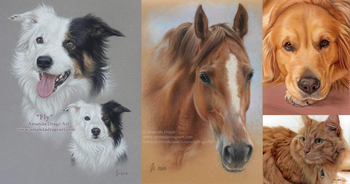 Professional Pet Portrait Painters Ran Art Blog