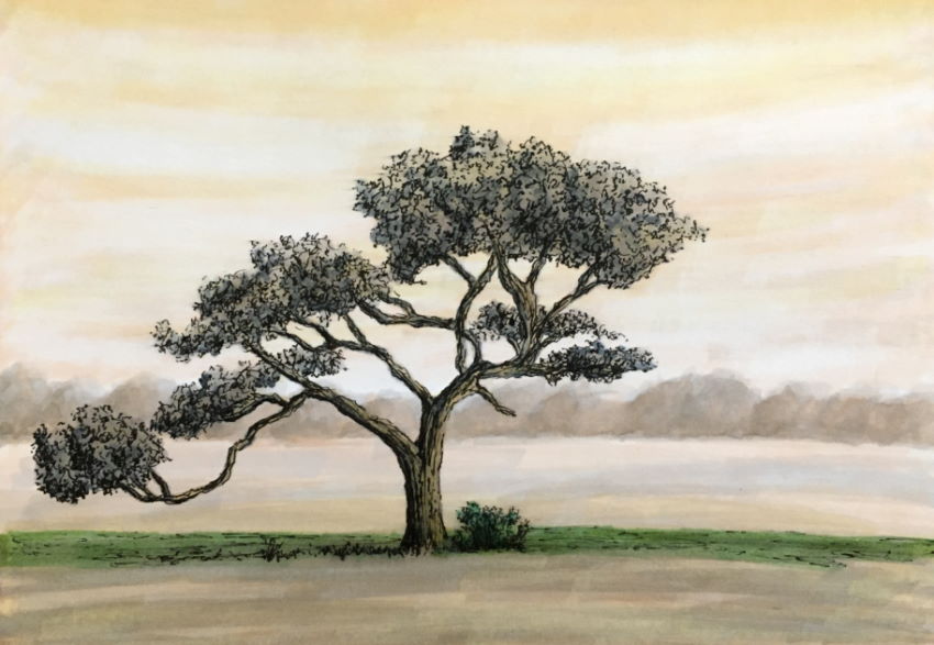 A markers drawing of a landscape with a tree