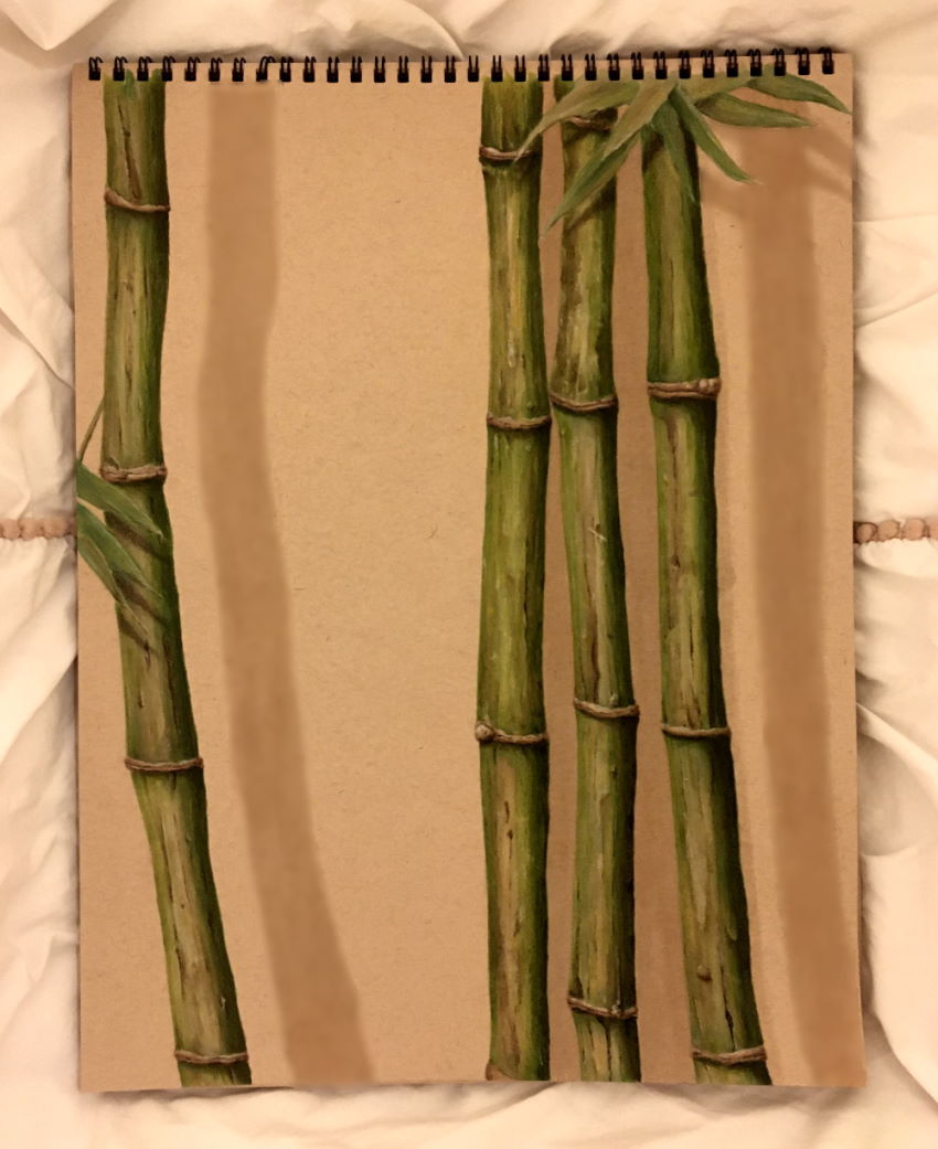 Realistic bamboo markers drawing