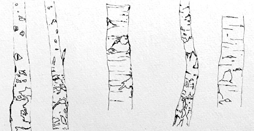 Drawing some details for trees